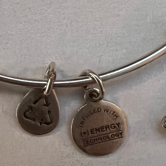 Alex and Ani Buddha charm bracelet - Picture 5 of 5